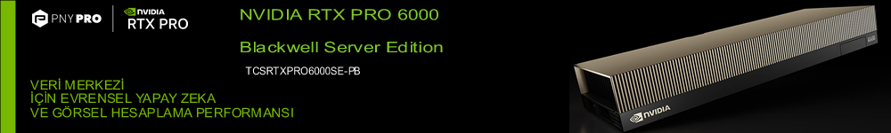 Nvidia RTX-Pro 6000 Blackwell Server Edition